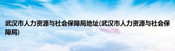 武汉市人力资源与社会保障局地址(武汉市人力资源与社会保障局)