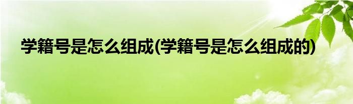 学籍号是怎么组成(学籍号是怎么组成的)