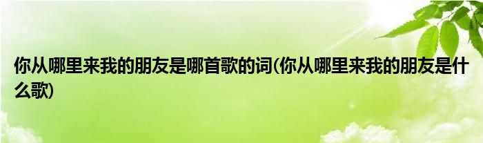 你从哪里来我的朋友是哪首歌的词(你从哪里来我的朋友是什么歌)