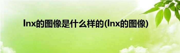 lnx的图像是什么样的(lnx的图像)