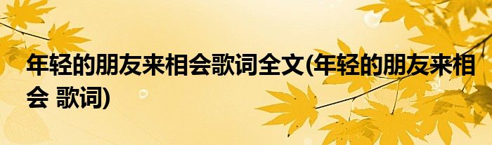 年轻的朋友来相会歌词全文(年轻的朋友来相会 歌词)