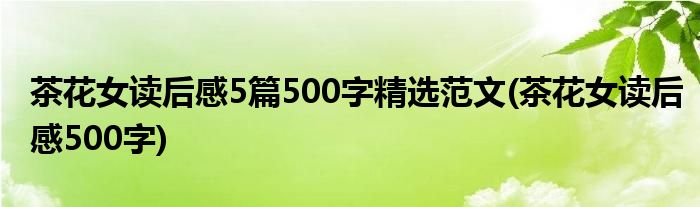 茶花女读后感5篇500字精选范文(茶花女读后感500字)