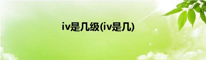 iv是几级(iv是几)