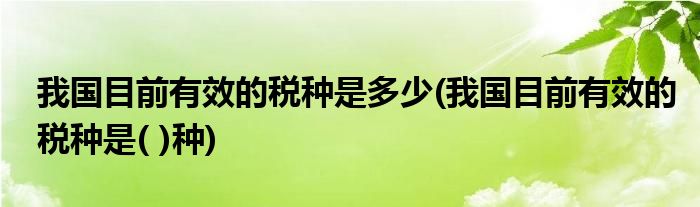 我国目前有效的税种是多少(我国目前有效的税种是( )种)