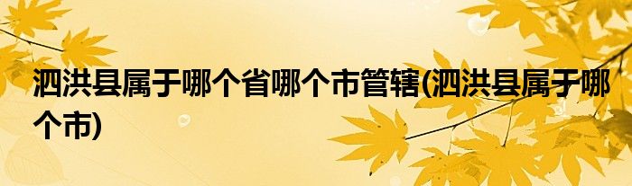 泗洪县属于哪个省哪个市管辖(泗洪县属于哪个市)