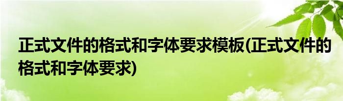 正式文件的格式和字体要求模板(正式文件的格式和字体要求)