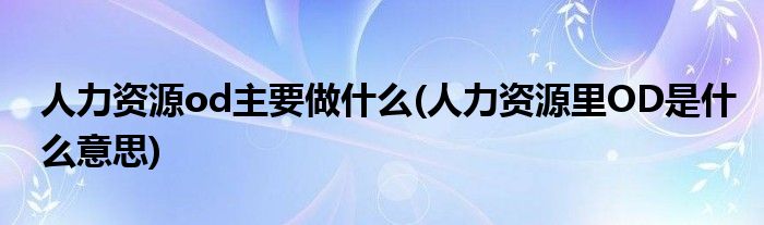 人力资源od主要做什么(人力资源里OD是什么意思)