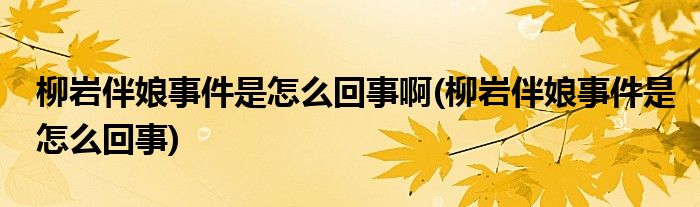 柳岩伴娘事件是怎么回事啊(柳岩伴娘事件是怎么回事)