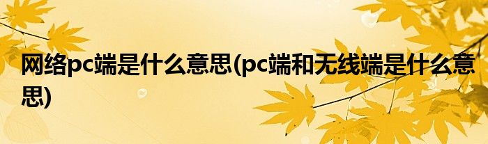 网络pc端是什么意思(pc端和无线端是什么意思)