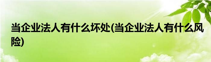 当企业法人有什么坏处(当企业法人有什么风险)