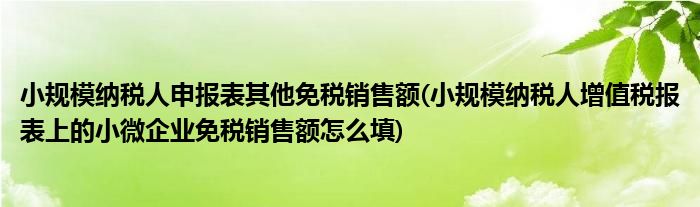 小规模纳税人申报表其他免税销售额(小规模纳税人增值税报表上的小微企业免税销售额怎么填)