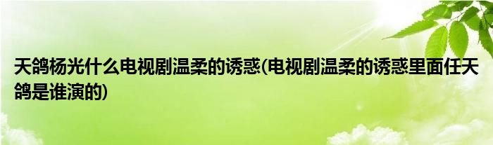 天鸽杨光什么电视剧温柔的诱惑(电视剧温柔的诱惑里面任天鸽是谁演的)