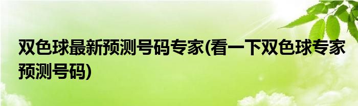 双色球最新预测号码专家(看一下双色球专家预测号码)