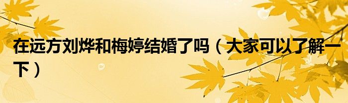 在远方刘烨和梅婷结婚了吗（大家可以了解一下）