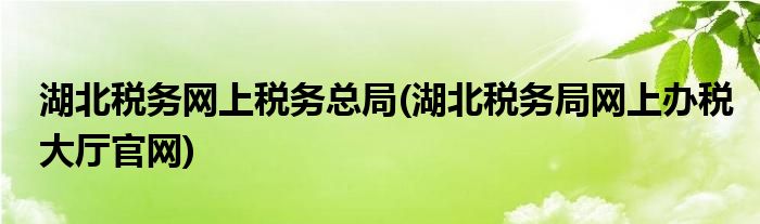 湖北税务网上税务总局(湖北税务局网上办税大厅官网)