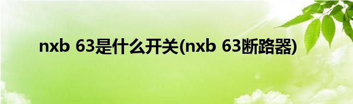 nxb 63是什么开关(nxb 63断路器)