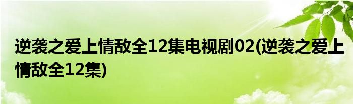 逆袭之爱上情敌全12集电视剧02(逆袭之爱上情敌全12集)