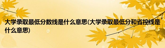 大学录取最低分数线是什么意思(大学录取最低分和省控线是什么意思)