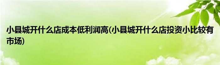 小县城开什么店成本低利润高(小县城开什么店投资小比较有市场)