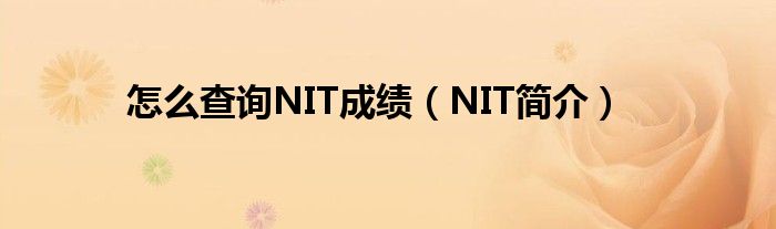 怎么查询NIT成绩（NIT简介）