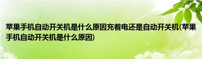 苹果手机自动开关机是什么原因充着电还是自动开关机(苹果手机自动开关机是什么原因)