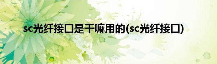 sc光纤接口是干嘛用的(sc光纤接口)