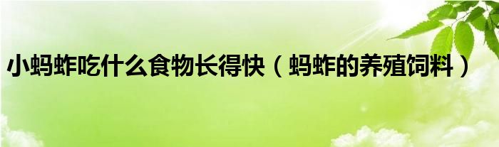 小蚂蚱吃什么食物长得快（蚂蚱的养殖饲料）