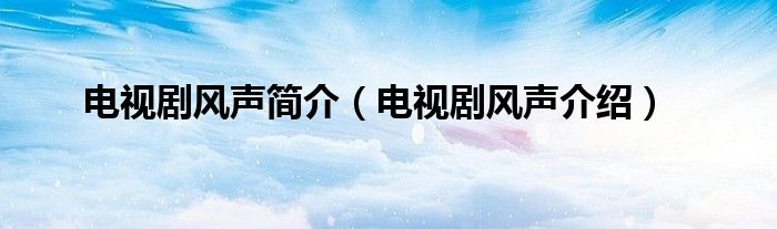 电视剧风声简介（电视剧风声介绍）