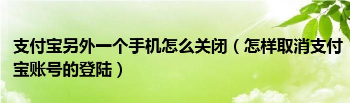 支付宝另外一个手机怎么关闭（怎样取消支付宝账号的登陆）