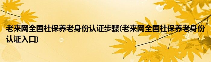 老来网全国社保养老身份认证步骤(老来网全国社保养老身份认证入口)