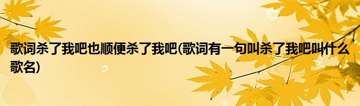 歌词杀了我吧也顺便杀了我吧(歌词有一句叫杀了我吧叫什么歌名)