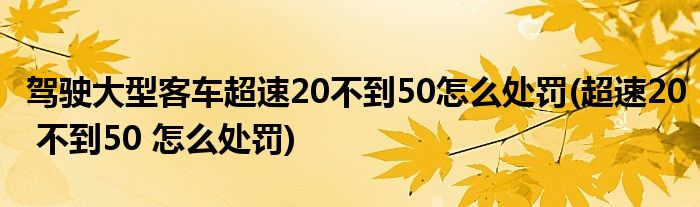 驾驶大型客车超速20不到50怎么处罚(超速20 不到50 怎么处罚)