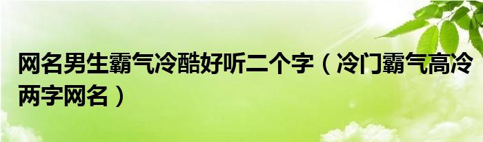 网名男生霸气冷酷好听二个字（冷门霸气高冷两字网名）