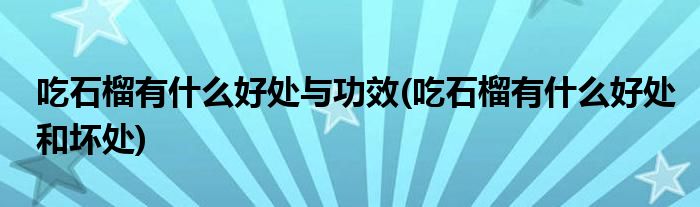 吃石榴有什么好处与功效(吃石榴有什么好处和坏处)