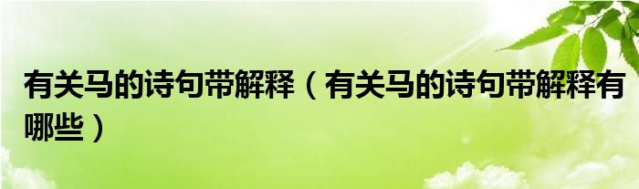 有关马的诗句带解释（有关马的诗句带解释有哪些）