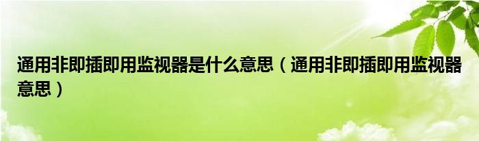 通用非即插即用监视器是什么意思（通用非即插即用监视器意思）