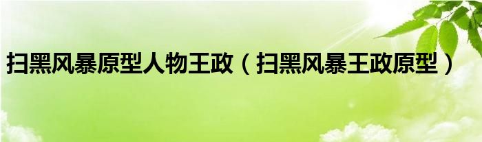 扫黑风暴原型人物王政（扫黑风暴王政原型）