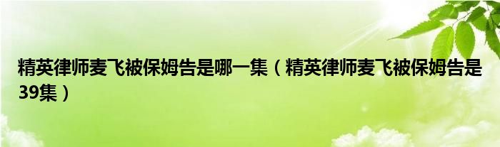 精英律师麦飞被保姆告是哪一集（精英律师麦飞被保姆告是39集）