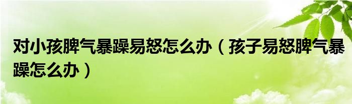 对小孩脾气暴躁易怒怎么办（孩子易怒脾气暴躁怎么办）