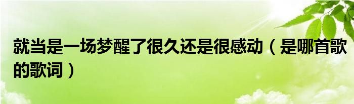 就当是一场梦醒了很久还是很感动（是哪首歌的歌词）