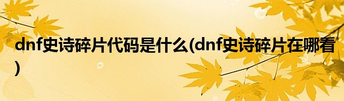 dnf史诗碎片代码是什么(dnf史诗碎片在哪看)