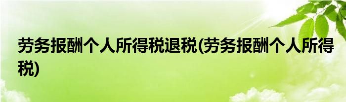 劳务报酬个人所得税退税(劳务报酬个人所得税)