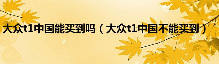 大众t1中国能买到吗（大众t1中国不能买到）