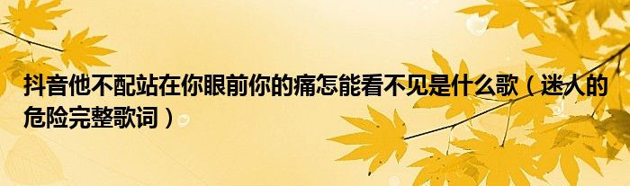 抖音他不配站在你眼前你的痛怎能看不见是什么歌（迷人的危险完整歌词）