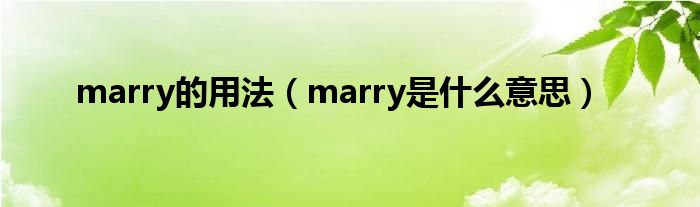 marry的用法（marry是什么意思）