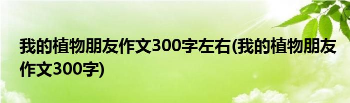 我的植物朋友作文300字左右(我的植物朋友作文300字)