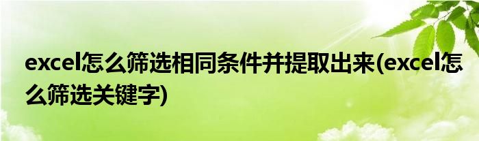 excel怎么筛选相同条件并提取出来(excel怎么筛选关键字)