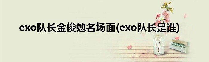 exo队长金俊勉名场面(exo队长是谁)