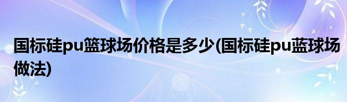 国标硅pu篮球场价格是多少(国标硅pu蓝球场做法)