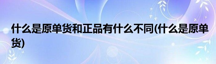 什么是原单货和正品有什么不同(什么是原单货)